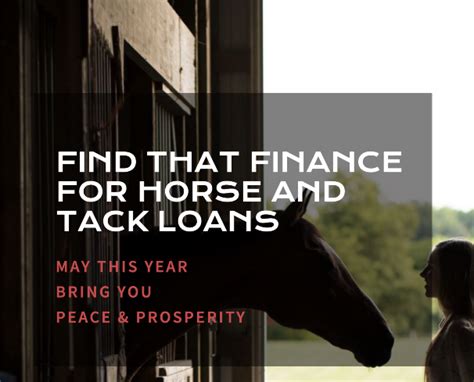 horse lorn|Horse Loans: Find Equine Financing for Your Needs 